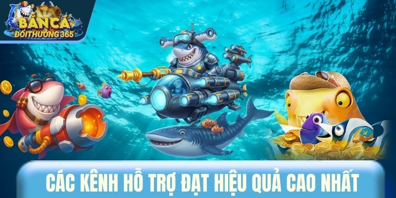 Các kênh hỗ trợ đạt hiệu quả cao nhất