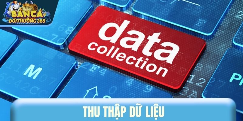 Thu thập dữ liệu nằm trong phạm vị chính sách